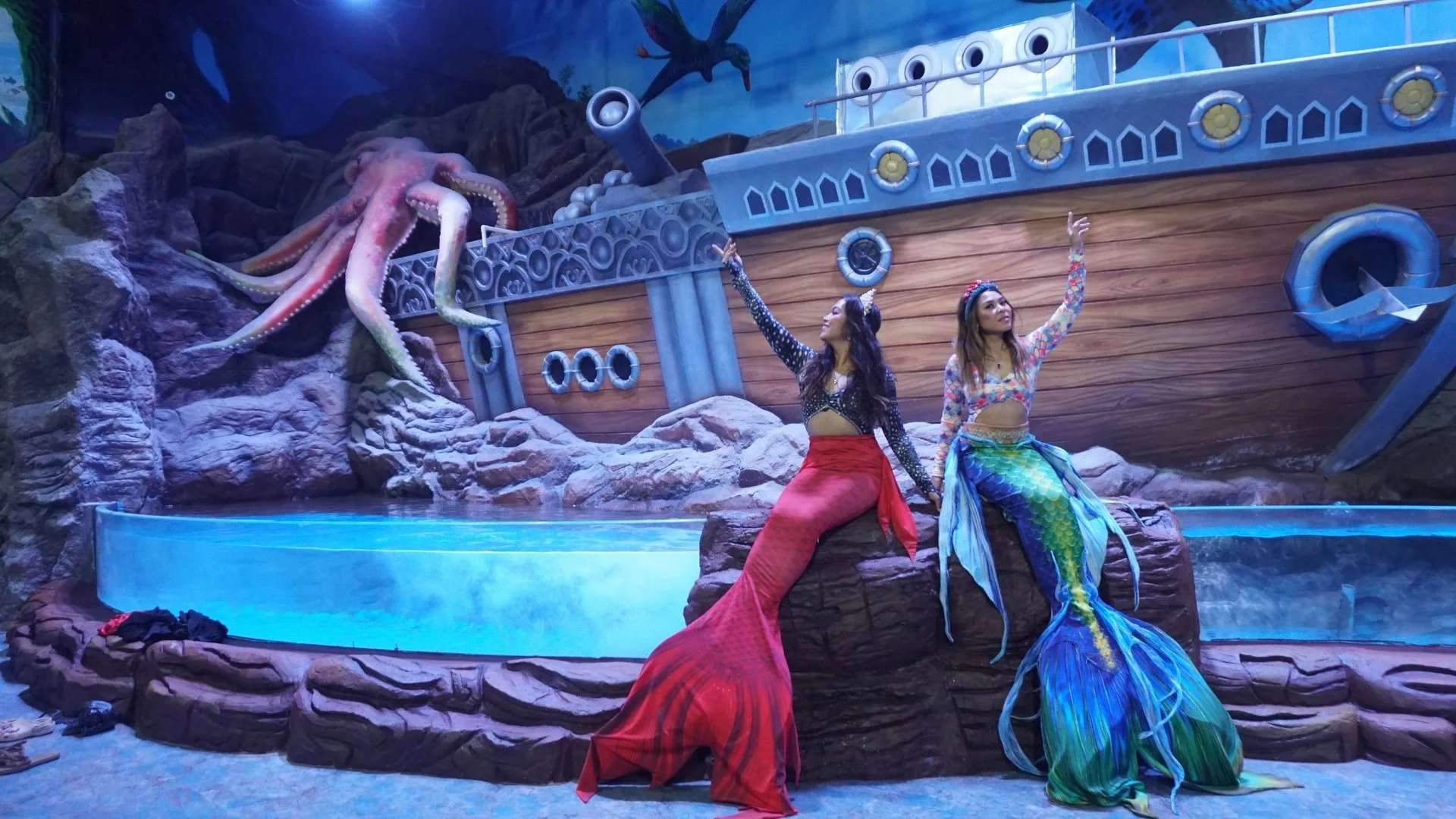 Other Must-See Attractions at Aquarium Paradise: Beyond the Tunnel